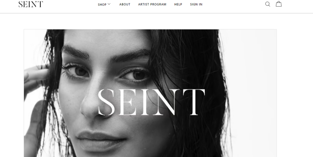 Seint Makeup MLM Review