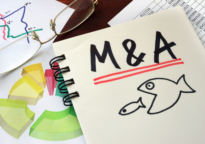 M&A Advisory for Lower Middle-Market Companies 